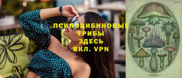 дмт Армянск