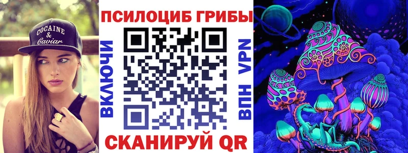Псилоцибиновые грибы Cubensis  ОМГ ОМГ зеркало  Черногорск 